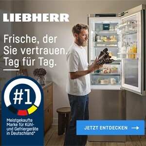 hybride-haendler_No1_einzelteaser_700x636 hybride-haendler_No1_einzelteaser_700x636